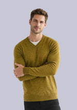 Load image into Gallery viewer, AMBER MERINO V NECK
