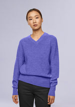 Load image into Gallery viewer, Sky V Neck
